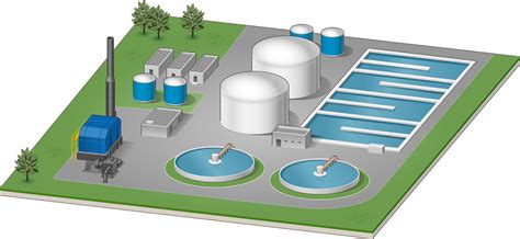 Municipal Wastewater Conifer Systems