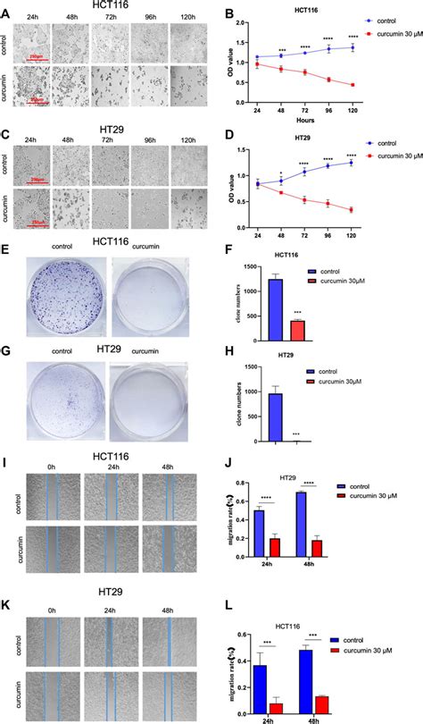 Frontiers Bioinformatics Analysis And Identification Of Upregulated