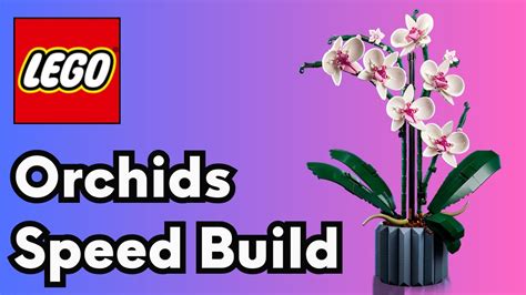 Building The Lego Orchids With My Mom For Mother S Day Lego Orchids Speedbuild Youtube