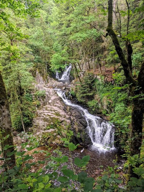 Cascade Saut Du Bouchot Cascade Dans Le Massif Des Vosges