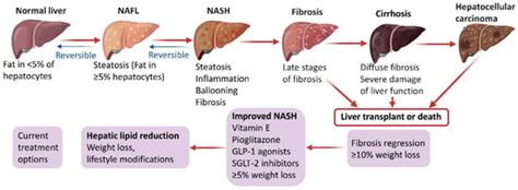 Ijms Free Full Text Advances In The Diagnosis And Treatment Of Non