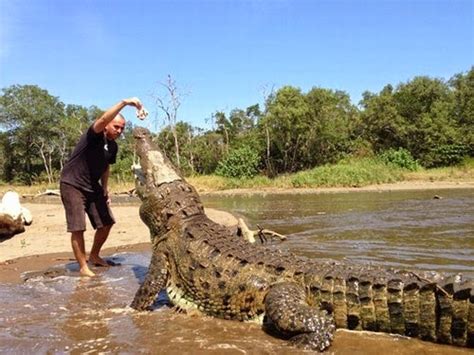 Fonte Das Noticias Homem Que Tratava Dos Crocodilos Devorado Vivo