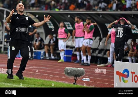 Algeria S Head Coach Djamel Belmadi Reacts During The Africa Cup