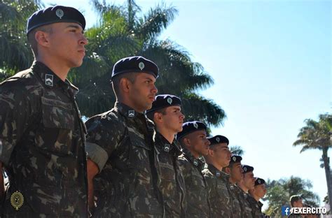 Sargento Do Exército Brasileiro Responsabilidades E Desafios Defesa