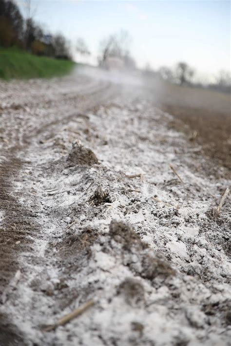 Was ist freier Kalk? - landwirt-media.com