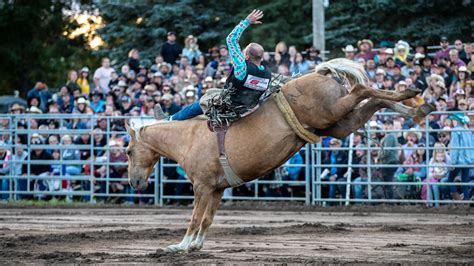 Festival Western St Andr Avellin Pr Sente Rod O Professionnel Samedi