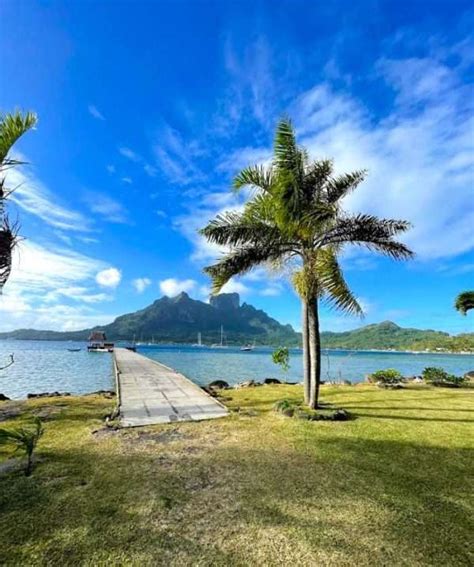 Bloody Marys Bora Bora The Untold Story Of An Island Icon