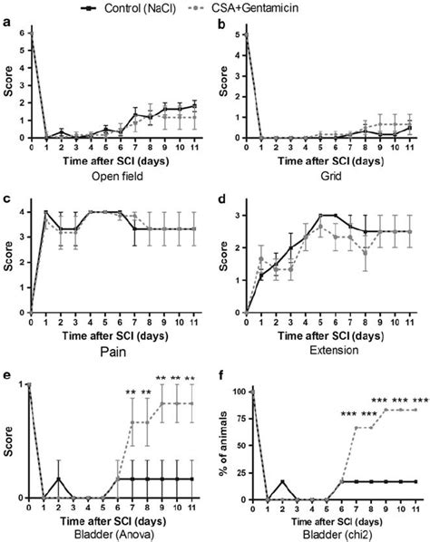 Combined CsA–gentamicin treatment did not modify functional recovery... | Download Scientific ...