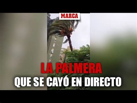 La Retransmisi N M S Viral Del Temporal La Palmera Se Ha Ca Do En