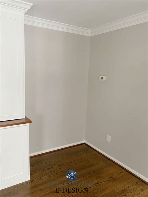 Sherwin Williams Alpaca Sw 7022 Paint Color Review