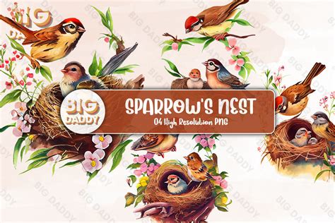 Sparrow S Nest Watercolor Clipart Graphic By Big Daddy Creative Fabrica