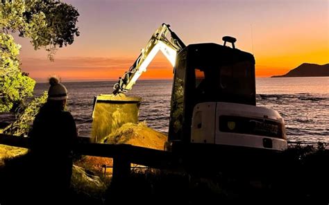 DNA Analysis Confirms Species Whale Found At Te Kaha Unusually Rare