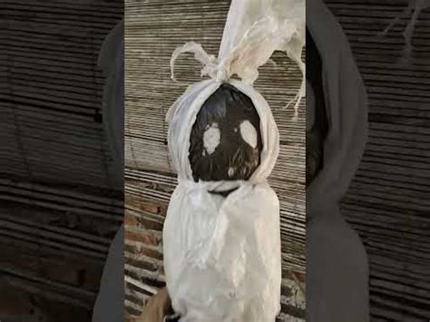 Boneka Pocong Short Kuntilanak Pemburusetan YouTube