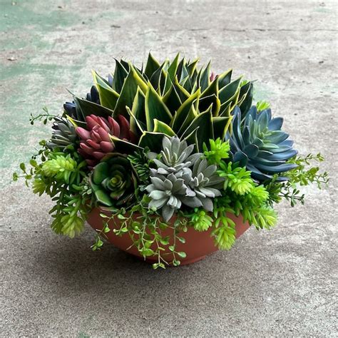 Succulent Centerpiece Etsy