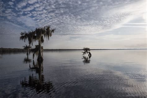 Blue Cypress Lake, FL