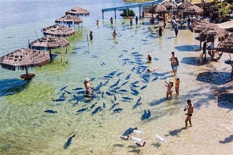 Lagoa Dos Tambaquis Saiba Como Chegar E Mais