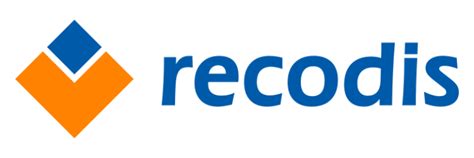 Bbdd ¿qué Es Y Cómo Sacarle Máximo Provecho Recodis Blog