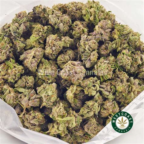 Buy Pink Sorbetto Kush Aaaa Popcorn Nugs Online West Coast Cannabis