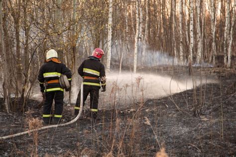 Recursos del Estado para la campaña contra incendios forestales 2020