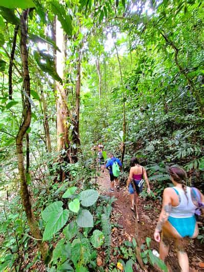 Panama City Rainforest Embera Village All Inclusive Tour Getyourguide