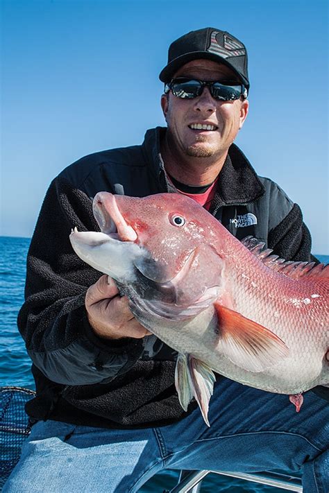 Goat Busters How To Catch California Sheephead Salt Water Sportsman