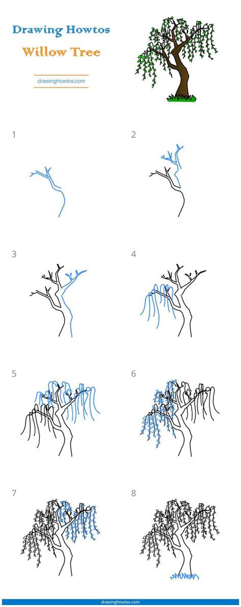 Draw A Weeping Willow Tree