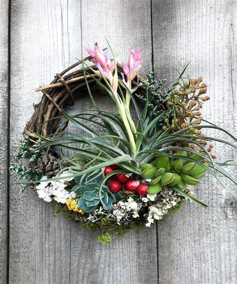 Christmas Holiday Living Wreath Air Plants Succulents Etsy