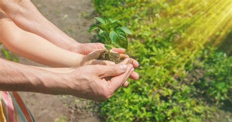 Agroecologia práticas sustentáveis para o futuro do agronegócio AgroCR