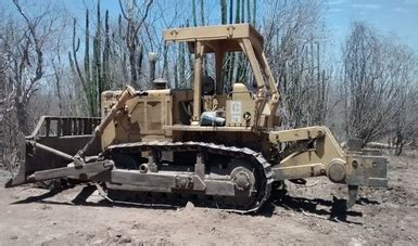 Profepa Clausura Actividades De Cambio De Uso De Suelo En Terrenos