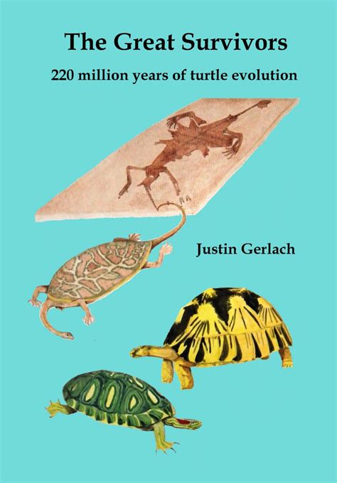 The Great Survivors - evolution of turtles, tortoises and terrapins