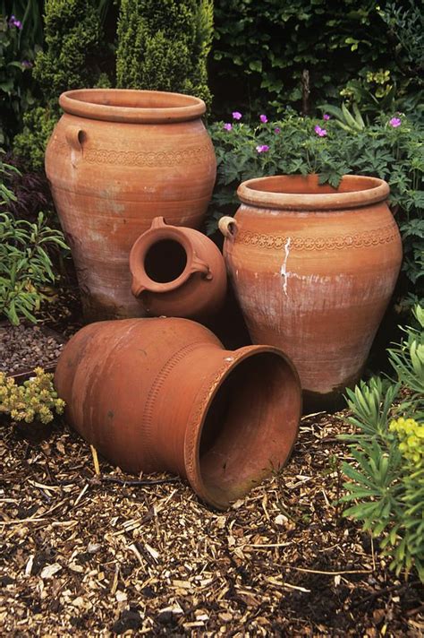 Terracotta Pots By Adrian Thomas Landscaping With Rocks Terracotta