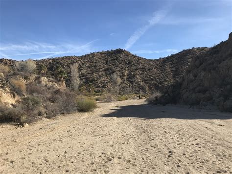 Cottonwood Springs Joshua Tree Nat Park Dec Flickr