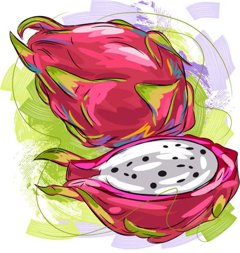 Dragonfruit Texture Illustrations Royalty Free Vector Graphics And Clip Art Istock