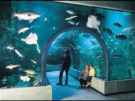 L Océarium du Croisic un aquarium au bord de l eau