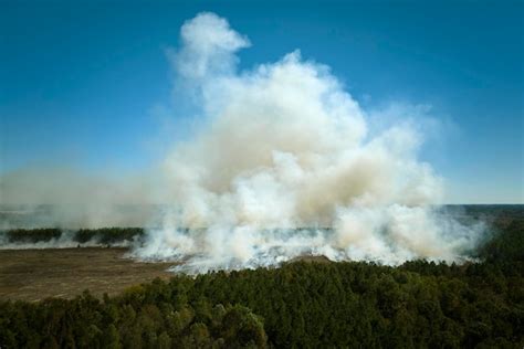 Vista A Rea Del Humo Blanco Del Incendio Forestal Que Se Eleva Hacia La