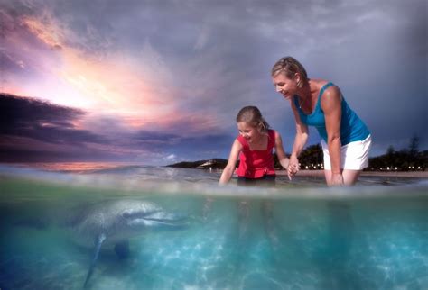 Moreton Island Tangalooma Desert Safari And Dolphin Feeding Getyourguide