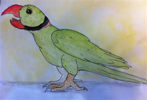 Alexandrine parrot by Viperwings on DeviantArt