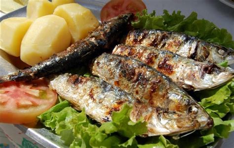 Pesca Da Sardinha Reabre Na Segunda Feira Not Cias De Coimbra