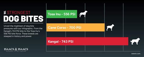 Dog Bite Force Chart - Isaacs & Isaacs