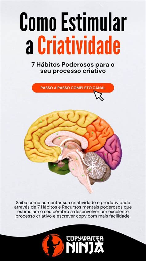 Saiba como aumentar sua criatividade e produtividade através de 7