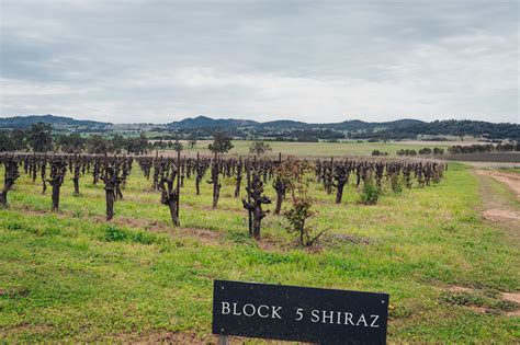 Sydney To Mudgee Wine Region 5 Day Itinerary And Things To Do