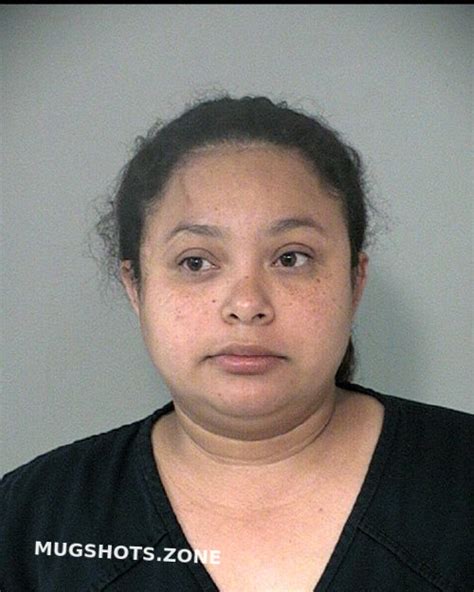 LOPEZ CASTILLO SANTOS JUANA 06 25 2023 Fort Bend County Mugshots Zone