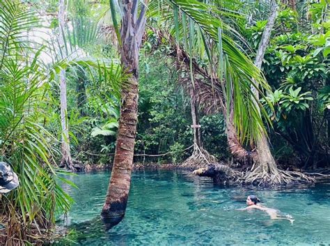 Krabi Kayaking At Khlong Nam Sai Thailand KKday