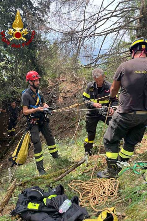 Monte Baldo Cane Caduto In Un Dirupo Salvato Dai Vigili Del Fuoco