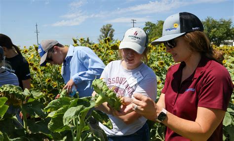 Crop Science Institute | Agriculture Future of America