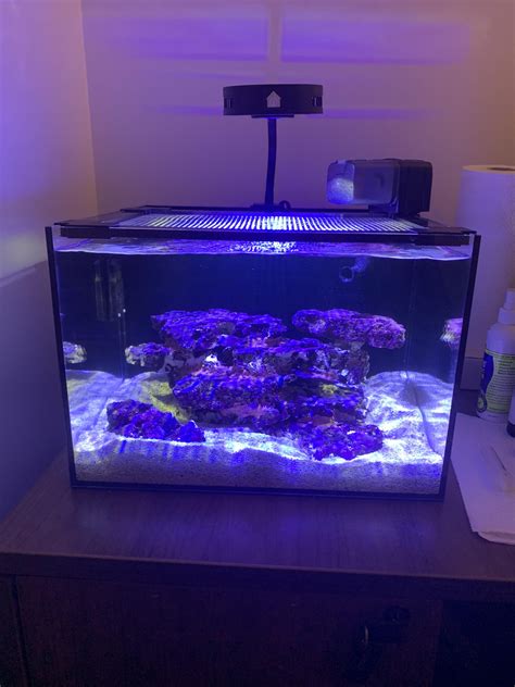 Aio Office Nano Reef Reef Casa