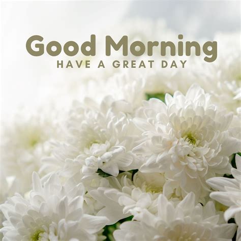 Good Morning Flower Images Get The Beautiful Collection Of Good