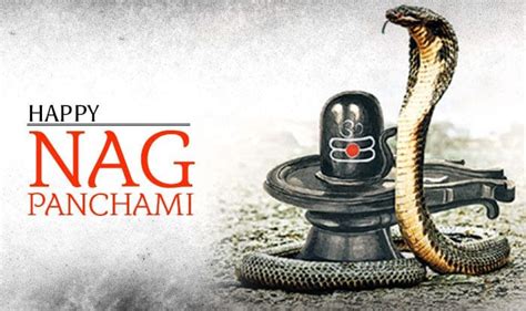 Nag Panchami 2080 Festival Of Snakes 2023 August