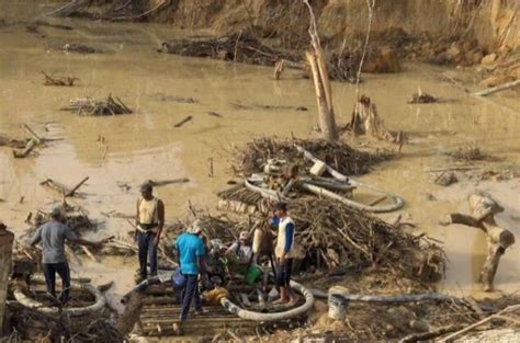 Fundaredes pide erradicar la minería ilegal para proteger el medio