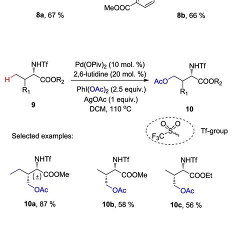 Pd OAc 2 catalyzed C sp³ H acetoxylation of oximes Download